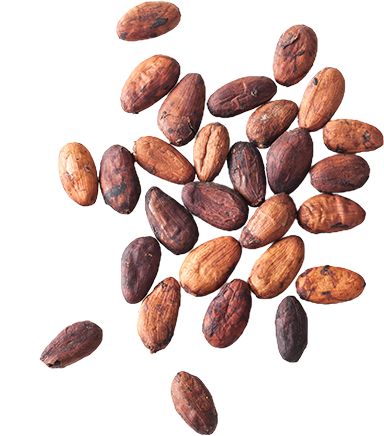 duft-kaffee